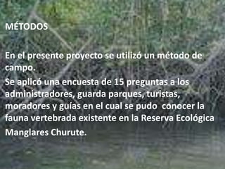 MÉTODOS
En el presente proyecto se utilizó un método de
campo.
Se aplicó una encuesta de 15 preguntas a los
administradores, guarda parques, turistas,
moradores y guías en el cual se pudo conocer la
fauna vertebrada existente en la Reserva Ecológica
Manglares Churute.
 