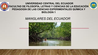 MANGLARES DEL ECUADOR
UNIVERSIDAD CENTRAL DEL ECUADOR
FACULTAD DE FILOSOFÍA, LETRAS Y CIENCIAS DE LA EDUCACIÓN
PEDAGOGÍA DE LAS CIENCIAS EXPERIMENTALES QUÍMICA Y
BIOLOGÍA 1
 