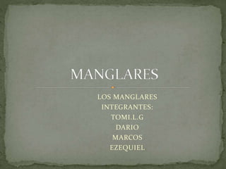LOS MANGLARES
INTEGRANTES:
TOMI.L.G
DARIO
MARCOS
EZEQUIEL
 