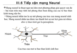 III.6 Tiếp cận mạng Neural
Mang neural la thuat ngư noi đen mot phương phap giai quyet van đe
– bai toan trên may tính mô phong theo hoat đong cua cac te bao than
kinh trong não bo.
 • Mang neural nhân tao la sự mô phong cau truc cua mang neural sinh
hoc. Mang neural nhân tao đươc tao thanh bơi sự noi ket giưa rat nhieu
                   đơn vị than kinh goi la perceptron.


                                                           Khớp
 Nhánh
                                        Trục


                     Thân
              Cau truc cua mot te bao than kinh sinh hoc
 