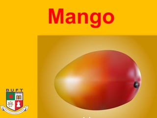 Mango
 