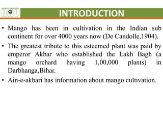 Mango Introduction Mango | PPTX