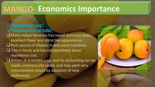 Economics Importance
“King of fruit crop”
“National Fruit of India”
Many Indian Varieties has sweet delicious taste,
excellent flavor and attractive appearance.
Rich source of Vitamin A and some nutrients.
Tree is hardy and has comparatively lower
maintence cost.
Grown as a rainfed crop, and its orcharding can be
made commercially viable and may yield very
remunerative return by adoption of new
technology.
 
