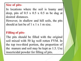 Fym Well Rotted Mango : soil climate, varieties, cultivation .pdf