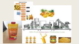 Mango processing | PDF