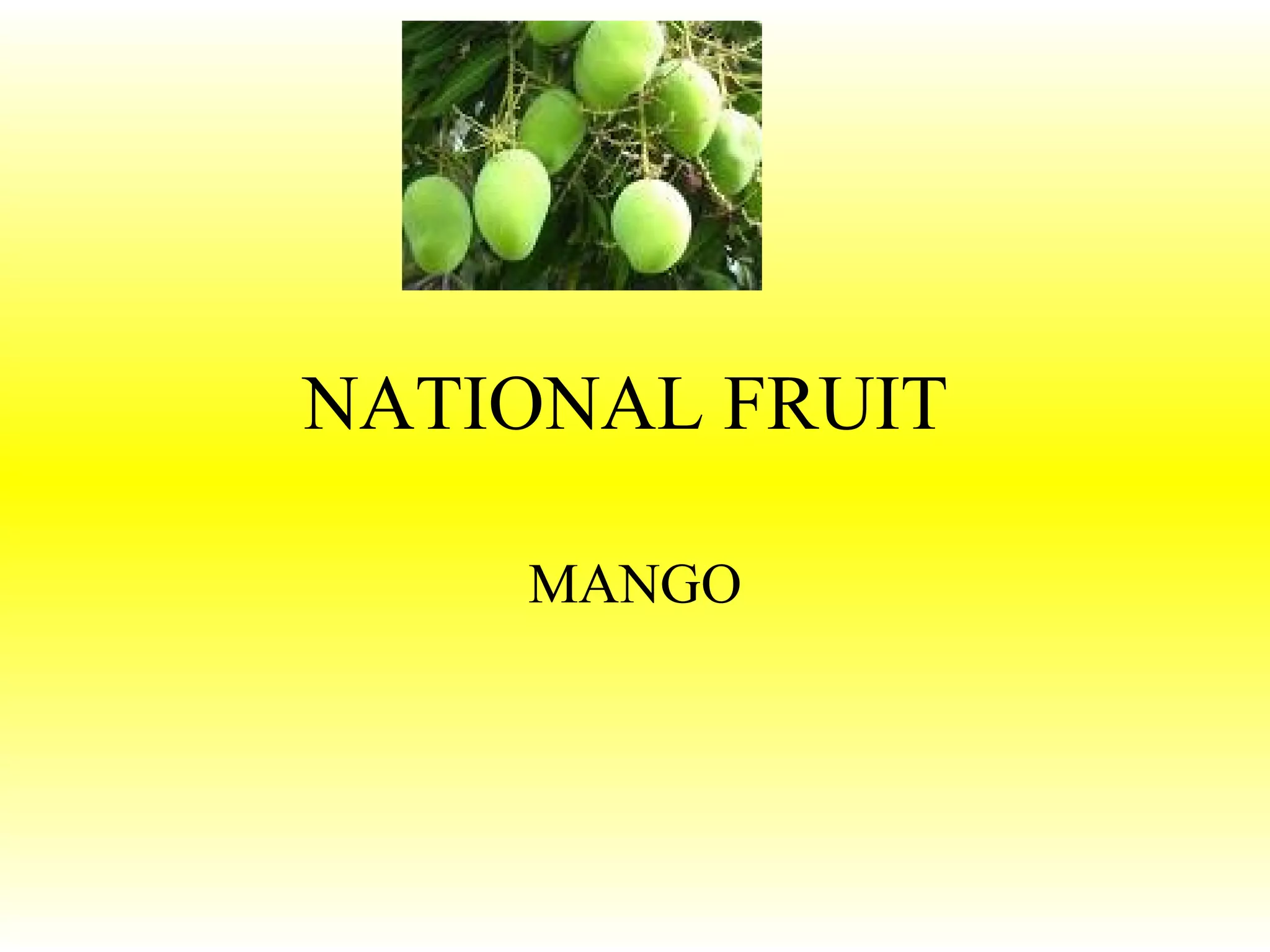 NATIONAL FRUIT MANGO