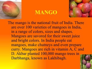 MANGO The mango is the national fruit of India. There are over 100 varieties of mangoes in India, in a range of colors, sizes and shapes. Mangoes are savored for their sweet juice and bright colors. In India people eat mangoes, make chutneys and even prepare curry. Mangoes are rich in vitamin A, C and D. Akbar planted 100,000 mango trees in Darbhanga, known as Lakhibagh.