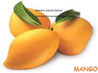 MANGO
Romero Garcia Daniel
Herrera Hernandez Angel Hobet 609
 