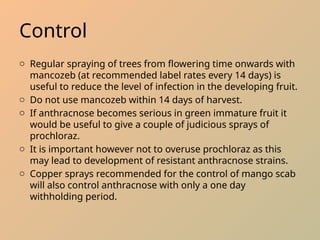 Mango Anthracnose.pptxtttttttttttttttttt | PPTX