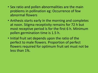 • Sex ratio and pollen abnormalities are the main
problems in pollination eg: Occurrence of few
abnormal flowers
• Anthesis starts early in the morning and completes
at noon. Stigma receptivity remains for 72 h but
most receptive period is for the first 6 h. Minimum
pollen germination time is 1.5 h.
• Initial fruit set depends upon the ratio of the
perfect to male flowers. Proportion of perfect
flowers required for optimum fruit set must not be
less than 1%.
 