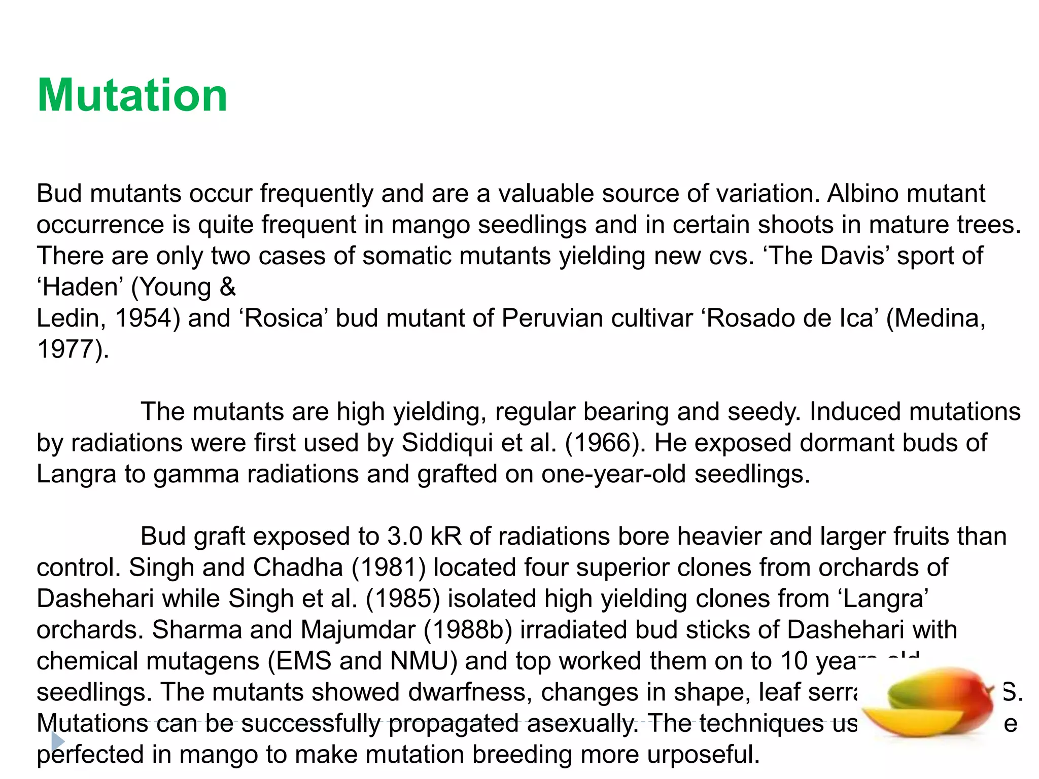 BREEDING IN MANGO | PPTX