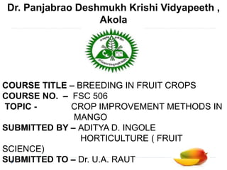 Dr. Panjabrao Deshmukh Krishi Vidyapeeth ,
Akola
COURSE TITLE – BREEDING IN FRUIT CROPS
COURSE NO. – FSC 506
TOPIC - CROP IMPROVEMENT METHODS IN
MANGO
SUBMITTED BY – ADITYA D. INGOLE
HORTICULTURE ( FRUIT
SCIENCE)
SUBMITTED TO – Dr. U.A. RAUT
 