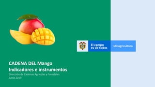 CADENA DEL Mango
Indicadores e instrumentos
Dirección de Cadenas Agrícolas y Forestales
Junio 2019
 