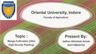 Present By:
Jadhav Abhishek Ashok
OUI119BAG162
Oriental University, Indore
Faculty of Agriculture
Topic :
Mango Cultivation (Ultra
High Density Planting)
 