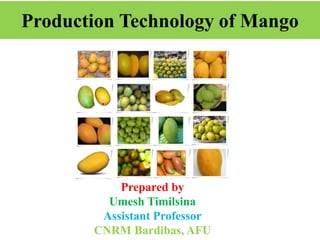 Production Technology of Mango
Prepared by
Umesh Timilsina
Assistant Professor
CNRM Bardibas, AFU
Prepared by
Umesh Timilsina
Assistant Professor
GPCAR, PU
 