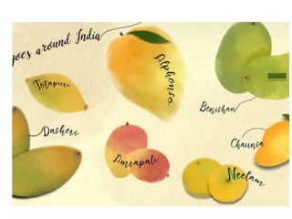 Production Technology of Mango in Nepal.pptx