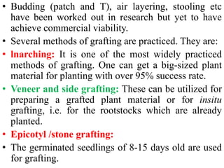 • Budding (patch and T), air layering, stooling etc
have been worked out in research but yet to have
achieve commercial viability.
• Several methods of grafting are practiced. They are:
• lnarching: It is one of the most widely practiced
methods of grafting. One can get a big-sized plant
material for planting with over 95% success rate.
• Veneer and side grafting: These can be utilized for
preparing a grafted plant material or for insitu
grafting, i.e. for the rootstocks which are already
planted.
• Epicotyl /stone grafting:
• The germinated seedlings of 8-15 days old are used
for grafting.
 
