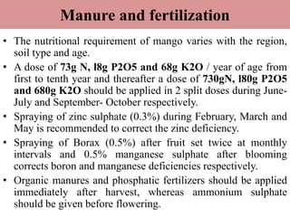 Manure and fertilization
• The nutritional requirement of mango varies with the region,
soil type and age.
• A dose of 73g N, l8g P2O5 and 68g K2O / year of age from
first to tenth year and thereafter a dose of 730gN, l80g P2O5
and 680g K2O should be applied in 2 split doses during June-
July and September- October respectively.
• Spraying of zinc sulphate (0.3%) during February, March and
May is recommended to correct the zinc deficiency.
• Spraying of Borax (0.5%) after fruit set twice at monthly
intervals and 0.5% manganese sulphate after blooming
corrects boron and manganese deficiencies respectively.
• Organic manures and phosphatic fertilizers should be applied
immediately after harvest, whereas ammonium sulphate
should be given before flowering.
 