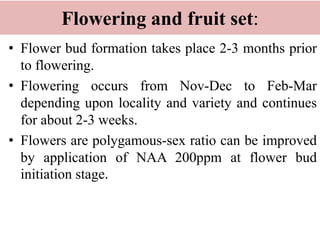 Flowering and fruit set:
• Flower bud formation takes place 2-3 months prior
to flowering.
• Flowering occurs from Nov-Dec to Feb-Mar
depending upon locality and variety and continues
for about 2-3 weeks.
• Flowers are polygamous-sex ratio can be improved
by application of NAA 200ppm at flower bud
initiation stage.
 