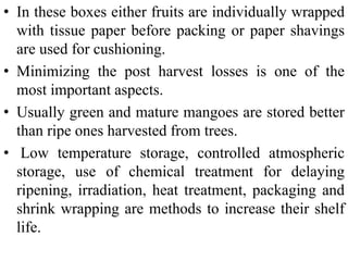 • In these boxes either fruits are individually wrapped
with tissue paper before packing or paper shavings
are used for cushioning.
• Minimizing the post harvest losses is one of the
most important aspects.
• Usually green and mature mangoes are stored better
than ripe ones harvested from trees.
• Low temperature storage, controlled atmospheric
storage, use of chemical treatment for delaying
ripening, irradiation, heat treatment, packaging and
shrink wrapping are methods to increase their shelf
life.
 