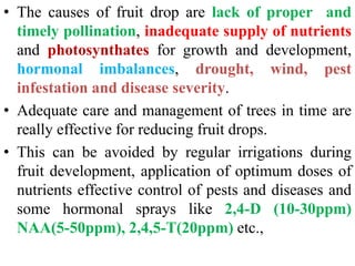 • The causes of fruit drop are lack of proper and
timely pollination, inadequate supply of nutrients
and photosynthates for growth and development,
hormonal imbalances, drought, wind, pest
infestation and disease severity.
• Adequate care and management of trees in time are
really effective for reducing fruit drops.
• This can be avoided by regular irrigations during
fruit development, application of optimum doses of
nutrients effective control of pests and diseases and
some hormonal sprays like 2,4-D (10-30ppm)
NAA(5-50ppm), 2,4,5-T(20ppm) etc.,
 