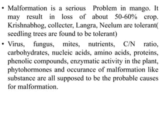 • Malformation is a serious Problem in mango. It
may result in loss of about 50-60% crop.
Krishnabhog, collecter, Langra, Neelum are tolerant(
seedling trees are found to be tolerant)
• Virus, fungus, mites, nutrients, C/N ratio,
carbohydrates, nucleic acids, amino acids, proteins,
phenolic compounds, enzymatic activity in the plant,
phytohormones and occurance of malformation like
substance are all supposed to be the probable causes
for malformation.
 