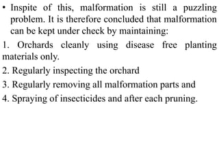 • Inspite of this, malformation is still a puzzling
problem. It is therefore concluded that malformation
can be kept under check by maintaining:
1. Orchards cleanly using disease free planting
materials only.
2. Regularly inspecting the orchard
3. Regularly removing all malformation parts and
4. Spraying of insecticides and after each pruning.
 