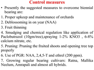 Control measures
• Presently the suggested measures to overcome biennial
bearing are:
1. Proper upkeep and maintenance of orchards
2. Deblossoming in on year (NAA)
3. Fruit thinning
4. Smudging and chemical regulation like application of
Paclobutrazol (10gm/tree),spraying 1-2% KNO3 , 6-8%
calcium nitrate, etc.
5. Pruning: Pruning the fruited shoots and opening tree top
properly
6. Use of PGR: NAA, 2,4,5-T and ethrel (200 ppm).
7. Growing regular bearing cultivars: Ratna, Mallika
Neelum, Amrapali and almost all hybrids.
 