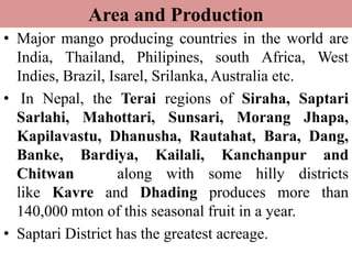 Area and Production
• Major mango producing countries in the world are
India, Thailand, Philipines, south Africa, West
Indies, Brazil, Isarel, Srilanka, Australia etc.
• In Nepal, the Terai regions of Siraha, Saptari
Sarlahi, Mahottari, Sunsari, Morang Jhapa,
Kapilavastu, Dhanusha, Rautahat, Bara, Dang,
Banke, Bardiya, Kailali, Kanchanpur and
Chitwan along with some hilly districts
like Kavre and Dhading produces more than
140,000 mton of this seasonal fruit in a year.
• Saptari District has the greatest acreage.
 