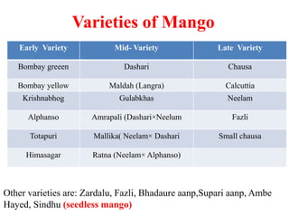 Varieties of Mango
Early Variety Mid- Variety Late Variety
Bombay greeen Dashari Chausa
Bombay yellow Maldah (Langra) Calcuttia
Krishnabhog Gulabkhas Neelam
Alphanso Amrapali (Dashari×Neelum Fazli
Totapuri Mallika( Neelam× Dashari Small chausa
Himasagar Ratna (Neelam× Alphanso)
Other varieties are: Zardalu, Fazli, Bhadaure aanp,Supari aanp, Ambe
Hayed, Sindhu (seedless mango)
 