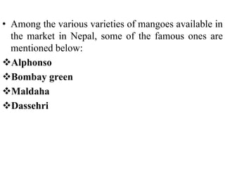 • Among the various varieties of mangoes available in
the market in Nepal, some of the famous ones are
mentioned below:
Alphonso
Bombay green
Maldaha
Dassehri
 