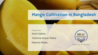 Mango Cultivation in Bangladesh
Kaniz Sakina
Tahmina Anwar Misha
Nazmul Ahsan
Prepared by:
 