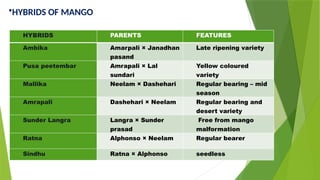 HYBRIDS PARENTS FEATURES
Ambika Amarpali × Janadhan
pasand
Late ripening variety
Pusa peetembar Amrapali × Lal
sundari
Yellow coloured
variety
Mallika Neelam × Dashehari Regular bearing – mid
season
Amrapali Dashehari × Neelam Regular bearing and
desert variety
Sunder Langra Langra × Sunder
prasad
Free from mango
malformation
Ratna Alphonso × Neelam Regular bearer
Sindhu Ratna × Alphonso seedless
•HYBRIDS OF MANGO
 