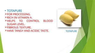 • TOTAPURI
FOR PROCESSING.
RICH IN VITAMIN A.
HELPS TO CONTROL BLOOD
SUGAR LEVEL.
FIBROUS TEXTURE.
HAVE TANGY AND ACIDIC TASTE. TOTAPURI
 