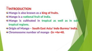 INTRODUCTION
Mango is also known as a king of fruits.
Mango is a national fruit of India.
Mango is cultivated in tropical as well as in sub-
tropical regions.
Origin of Mango – South East Asia/ Indo Burma/ India.
Chromosome number of mango -2n =4x=40.
 