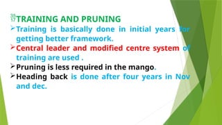 TRAINING AND PRUNING
Training is basically done in initial years for
getting better framework.
Central leader and modified centre system of
training are used .
Pruning is less required in the mango.
Heading back is done after four years in Nov
and dec.
 