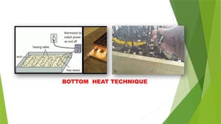 BOTTOM HEAT TECHNIQUE
 