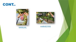 CONT..
MANUAL
HARVESTER
 