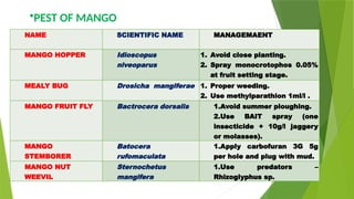 NAME SCIENTIFIC NAME MANAGEMAENT
MANGO HOPPER Idioscopus
niveoparus
1. Avoid close planting.
2. Spray monocrotophos 0.05%
at fruit setting stage.
MEALY BUG Drosicha mangiferae 1. Proper weeding.
2. Use methylparathion 1ml/l .
MANGO FRUIT FLY Bactrocera dorsalis 1.Avoid summer ploughing.
2.Use BAIT spray (one
insecticide + 10g/l jaggery
or molasses).
MANGO
STEMBORER
Batocera
rufomaculata
1.Apply carbofuran 3G 5g
per hole and plug with mud.
MANGO NUT
WEEVIL
Sternochetus
mangifera
1.Use predators –
Rhizoglyphus sp.
•PEST OF MANGO
 