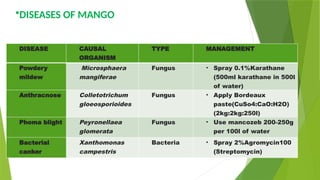 DISEASE CAUSAL
ORGANISM
TYPE MANAGEMENT
Powdery
mildew
Microsphaera
mangiferae
Fungus • Spray 0.1%Karathane
(500ml karathane in 500l
of water)
Anthracnose Colletotrichum
gloeosporioides
Fungus • Apply Bordeaux
paste(CuSo4:CaO:H2O)
(2kg:2kg:250l)
Phoma blight Peyronellaea
glomerata
Fungus • Use mancozeb 200-250g
per 100l of water
Bacterial
canker
Xanthomonas
campestris
Bacteria • Spray 2%Agromycin100
(Streptomycin)
•DISEASES OF MANGO
 