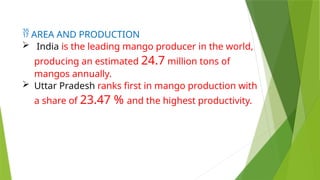  AREA AND PRODUCTION
 India is the leading mango producer in the world,
producing an estimated 24.7 million tons of
mangos annually.
 Uttar Pradesh ranks first in mango production with
a share of 23.47 % and the highest productivity.
 