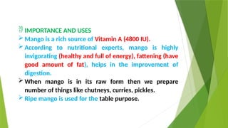  IMPORTANCE AND USES
 Mango is a rich source of Vitamin A (4800 IU).
 According to nutritional experts, mango is highly
invigorating (healthy and full of energy), fattening (have
good amount of fat), helps in the improvement of
digestion.
 When mango is in its raw form then we prepare
number of things like chutneys, curries, pickles.
 Ripe mango is used for the table purpose.
 