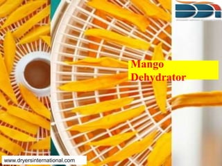 Mango
Dehydrator
www.dryersinternational.com
 
