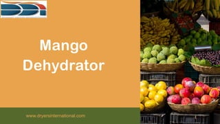 Mango
Dehydrator
www.dryersinternational.com
 