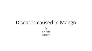 Diseases caused in Mango
By
C N Patil
SIIASHT
 