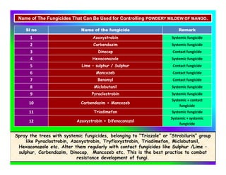 Sl no Name of the fungicide Remark
1 Azoxystrobin Systemic fungicide
2 Carbendazim Systemic fungicide
3 Dinocap Contact fungicide
4 Hexaconazole Systemic fungicide
5 Lime – sulphur / Sulphur Contact fungicide
6 Mancozeb Contact fungicide
7 Benomyl Contact fungicide
8 Miclobutanil Systemic fungicide
9 Pyraclostrobin Systemic fungicide
10 Carbendazim + Mancozeb
Systemic + contact
fungicide
11 Triadimefon Systemic fungicide
12 Azoxystrobin + Difenoconazol
Systemic + systemic
fungicide
Name of The Fungicides That Can Be Used for Controlling POWDERY MILDEW OF MANGO.
Spray the trees with systemic fungicides, belonging to “Triazole” or ”Strobilurin” group
like Pyraclostrobin, Azoxystrobin, Tryfloxystrobin, Triadimefon, Miclobutanil,
Hexaconazole etc. Alter them regularly with contact fungicides like Sulphur /Lime –
sulphur, Carbendazim, Dinocap, Mancozeb etc. This is the best practise to combat
resistance development of fungi.
 