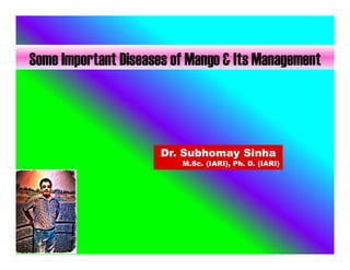Some Important Diseases of Mango & Its ManagementSome Important Diseases of Mango & Its Management
Dr. Subhomay Sinha
M.Sc. (IARI), Ph. D. (IARI)
 