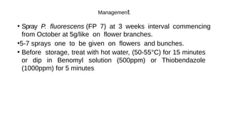 Mango diseases and their management in pakistan.pptx. by Farhan Meyo | PDF