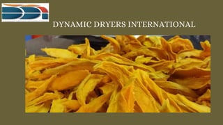DYNAMIC DRYERS INTERNATIONAL
 