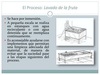 El Proceso: Lavado de la fruta
 Se hace por inmersión.
 A pequeña escala se realiza
en estanques con agua
recirculante o con agua
detenida que se reemplaza
continuamente.
 Es aconsejable ayudarse con
implementos que permitan
una limpieza adecuada del
material, de manera de
evitar que la suciedad pase
a las etapas siguientes del
proceso.
 